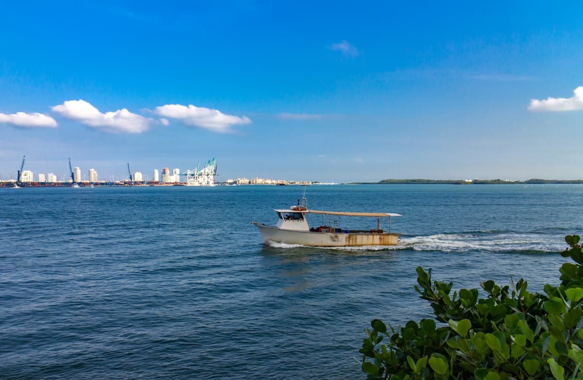 How to Fish Miami: A Beginner's Guide to Bridges, Piers, Peacock Bass, and the Deep Blue