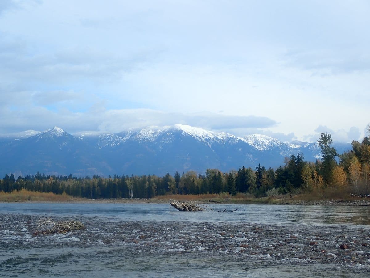 How to Fish Missoula, Montana: A Beginner's Guide to Four Trout Rivers and 'A River Runs Through It' Country