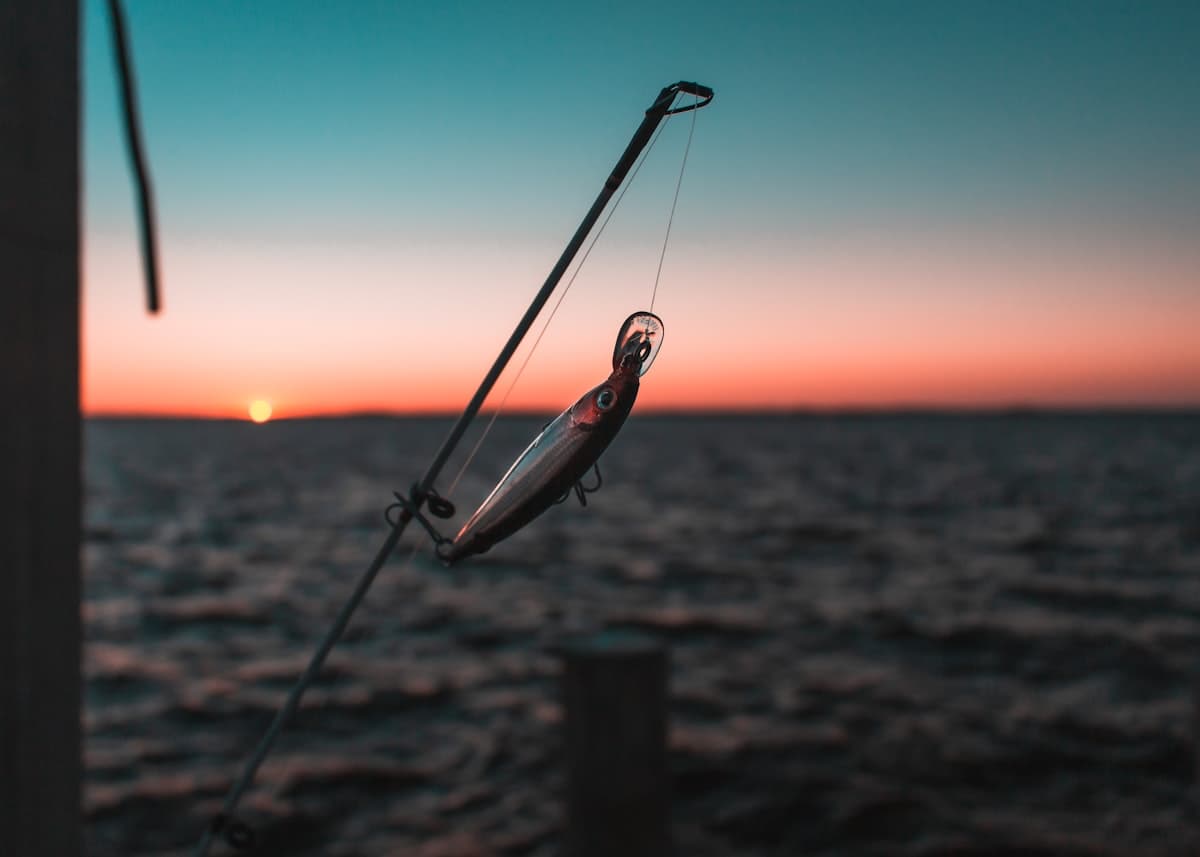 How to Fish Ocean City, MD: A Beginner's Guide to the Inlet, Piers, Head Boats, and the Canyons