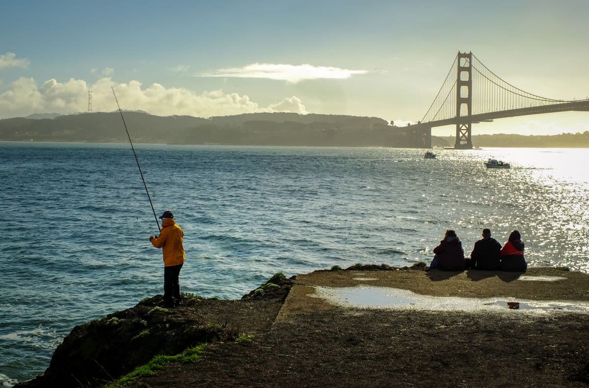 How to Fish San Francisco Bay: A Beginner's Guide to Halibut, Stripers, and Pier Fishing Under the Golden Gate