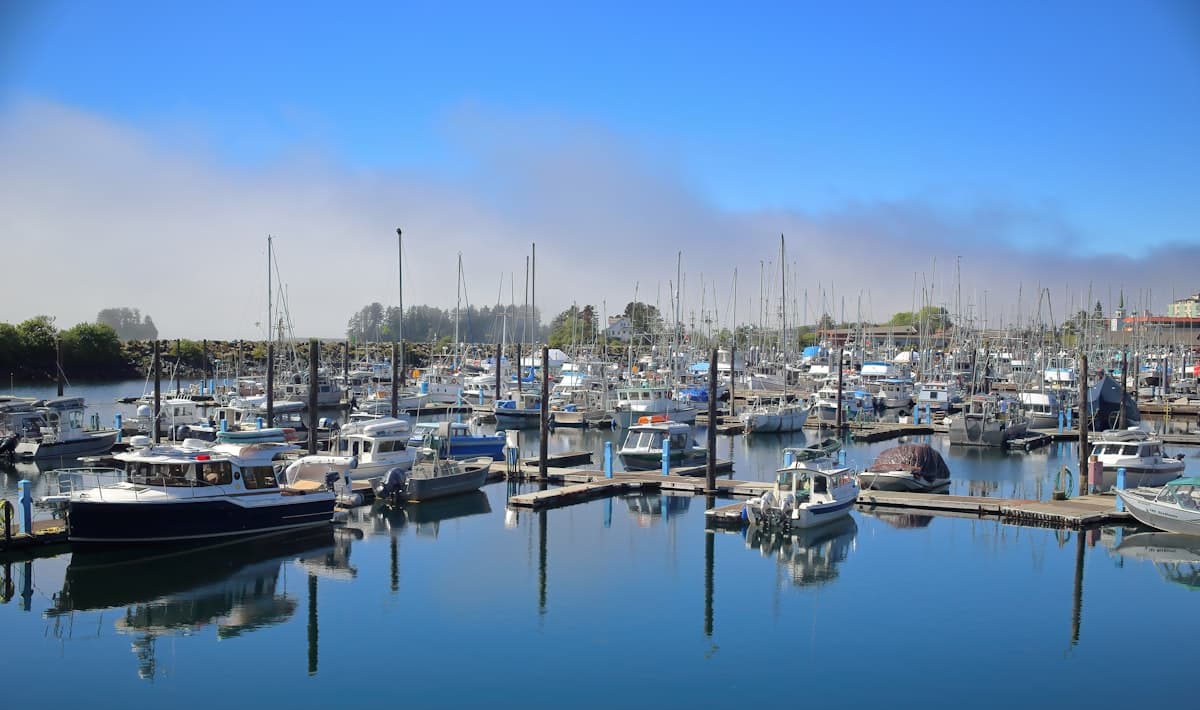 How to Fish Sitka, Alaska: A First-Timer's Guide to Salmon, Halibut, and Bottomfish