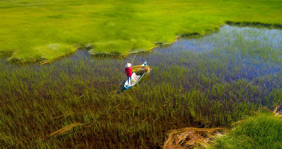 How to Fish Venice, Louisiana: A First-Timer's Guide to Tuna Town and the Delta Marshes