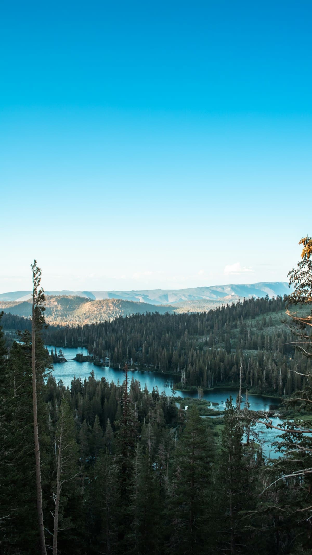 Your Beginner's Guide to Fishing in Mammoth Lakes, California