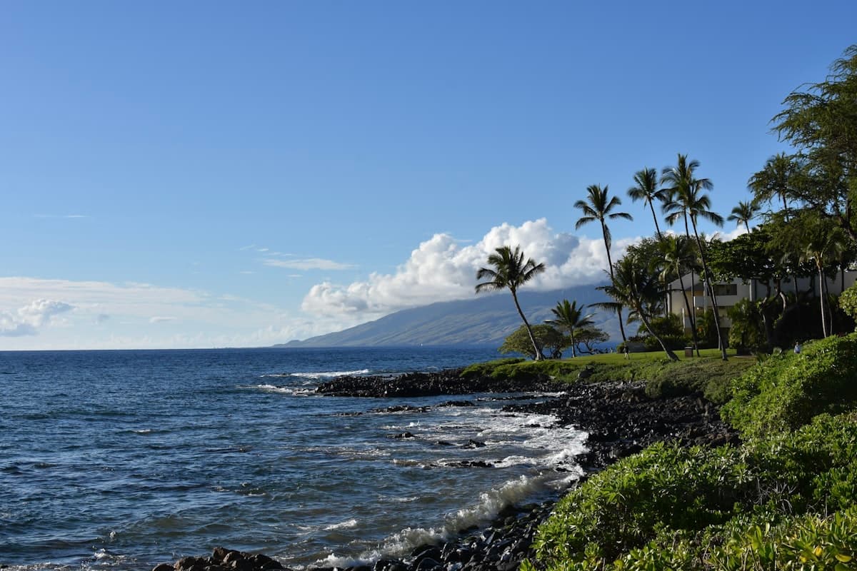 Maui Fishing: The Au'au Channel, Two Harbors, and the Water Between the Islands