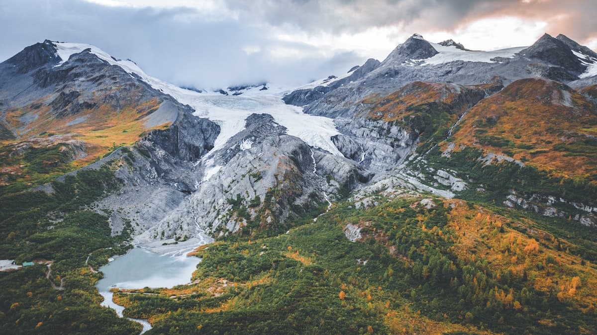 Valdez Fishing: The Pink Salmon Tsunami, Silver Salmon, and Prince William Sound Halibut