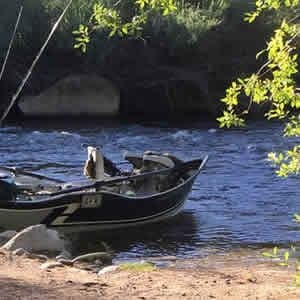 Gunnison Fish and Raft