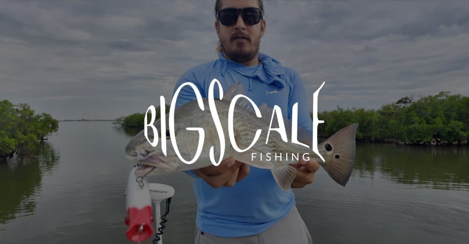 Big Scale Fishing