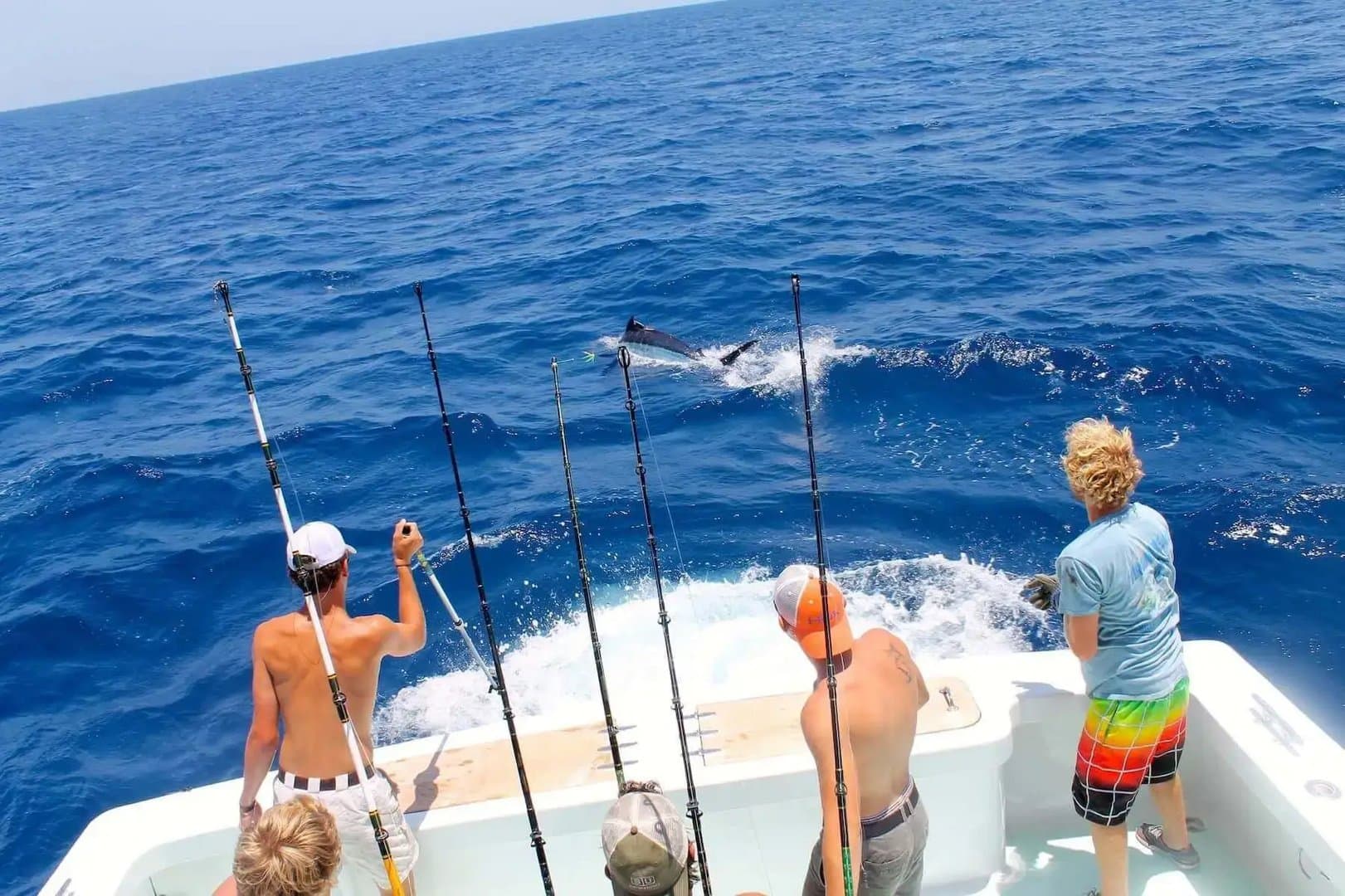 Daymaker Charters