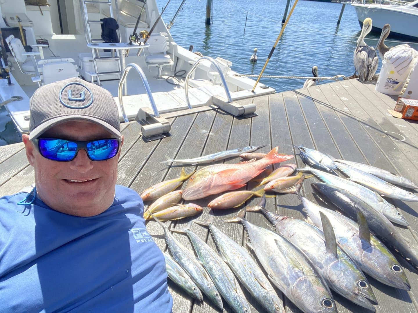 Wild Bill Key West
