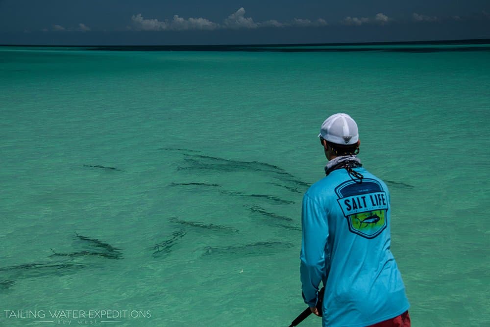 Tailing Water Expeditions