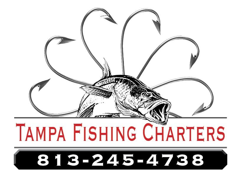 Tampa Fishing Charters