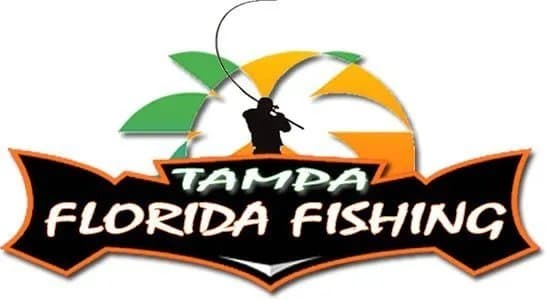 Tampa Florida Fishing