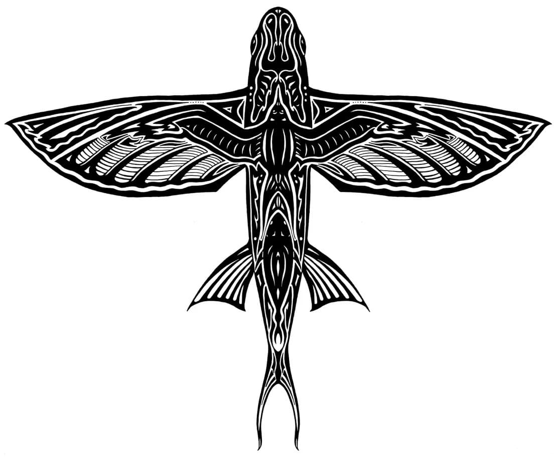 Flying Fish Charters
