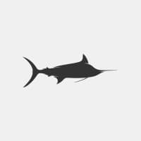 Hatteras Blue Sport Fishing Charters