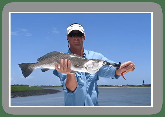 Angler Management