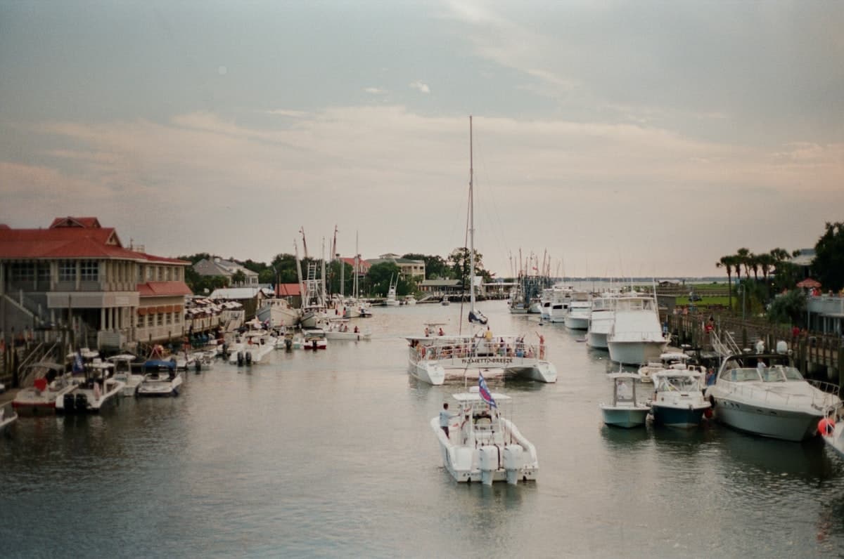 How to Fish Charleston, SC: A Beginner's Guide to Marsh Creeks, Piers, and Lowcountry Reds