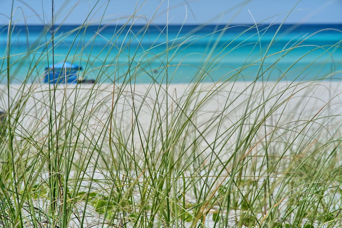 Fishing Panama City Beach: Jetties, Grass Flats, and 50 Miles of Artificial Reef