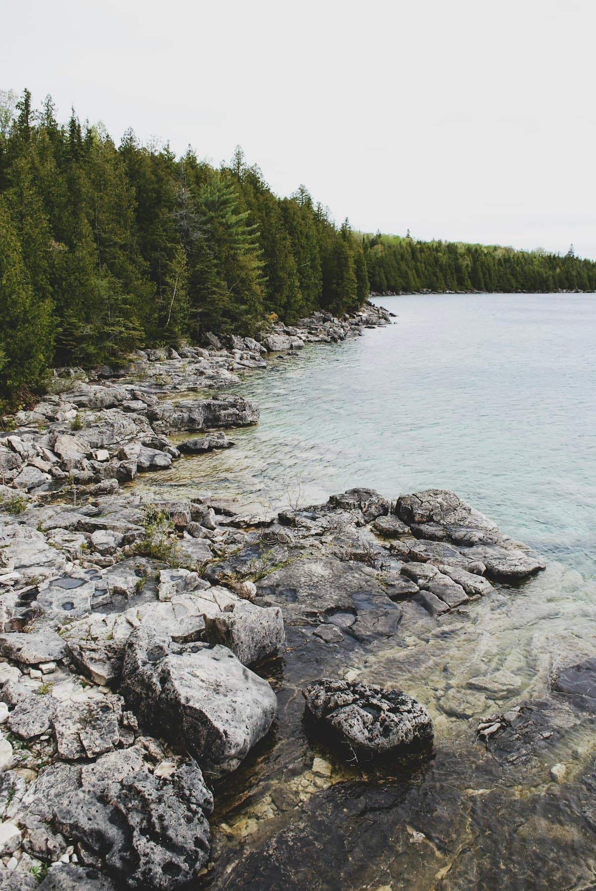 How to Fish Algonquin Park, Ontario: Brook Trout and Lake Trout Techniques from a Canoe