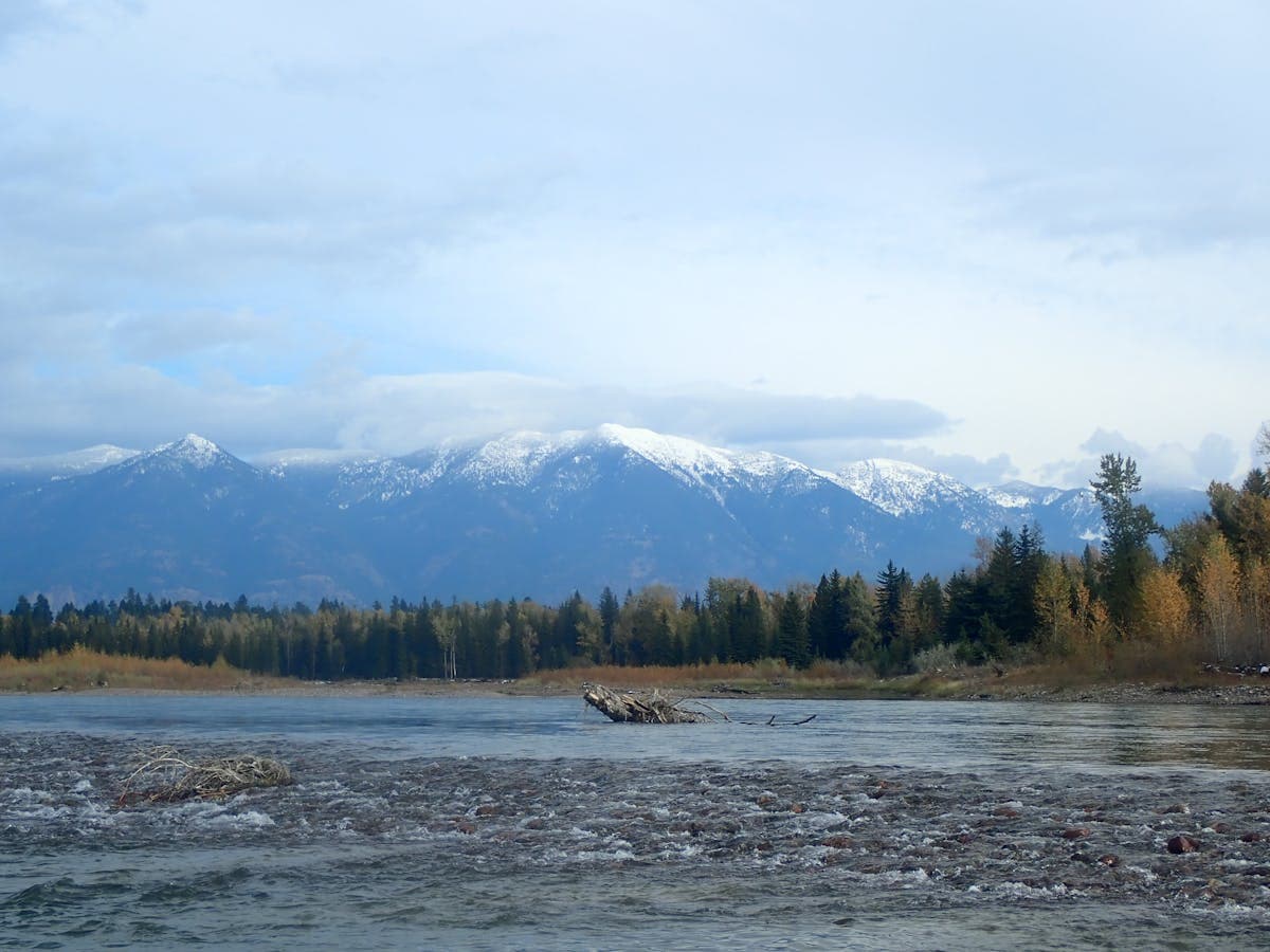 How to Fish Missoula, Montana: A Beginner's Guide to Four Trout Rivers and 'A River Runs Through It' Country