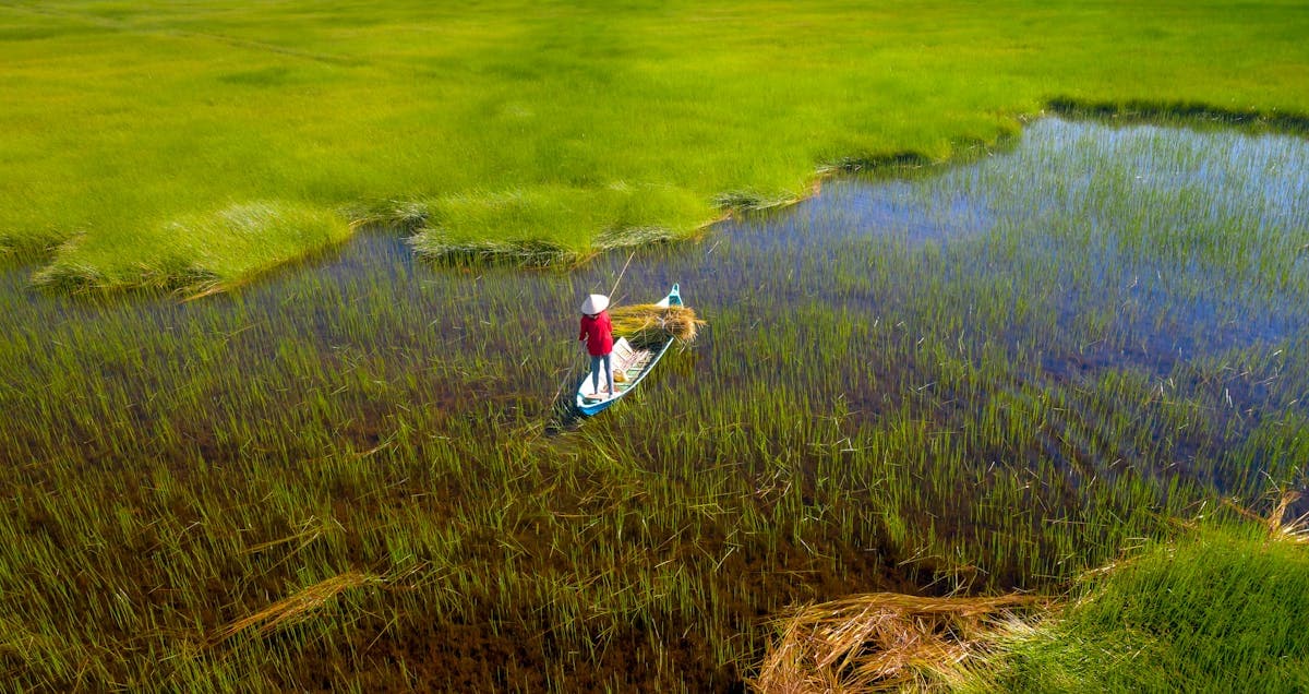 How to Fish Venice, Louisiana: A First-Timer's Guide to Tuna Town and the Delta Marshes