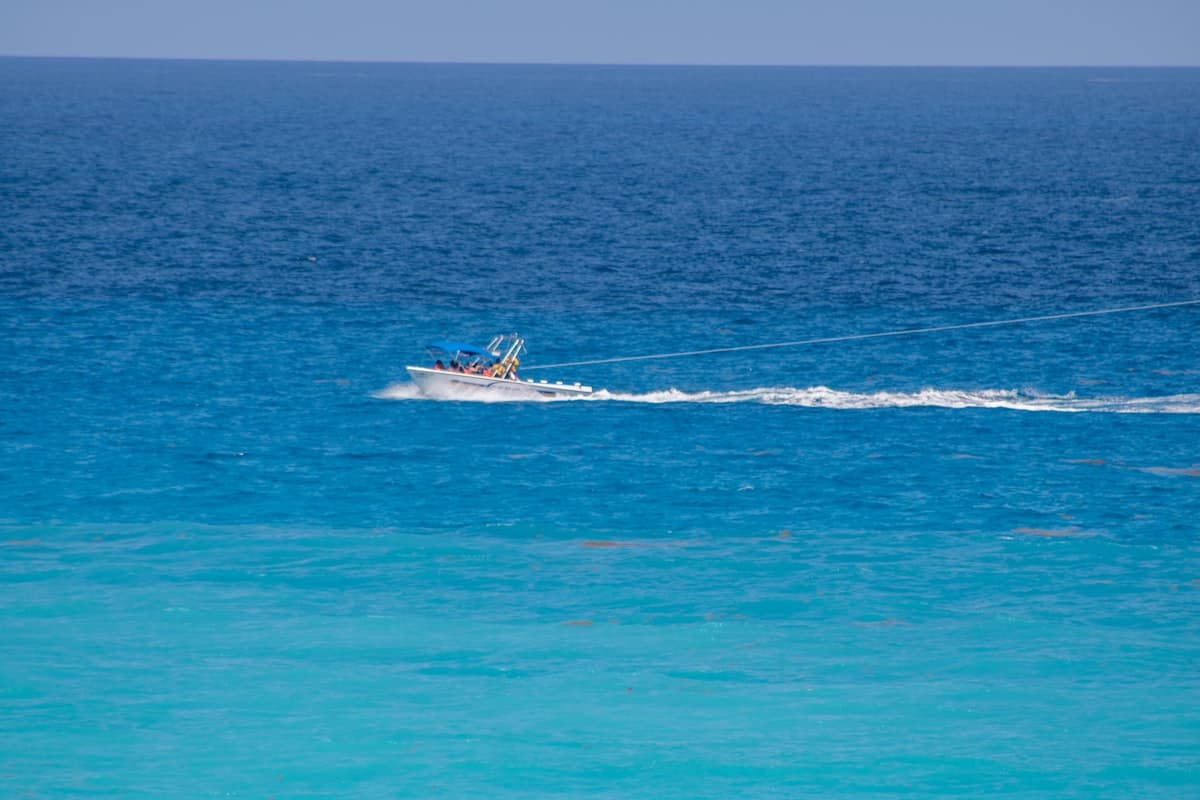 Fishing Cancún and the Riviera Maya: Sailfish, Marlin, Permit, and Bonefish on Mexico's Caribbean Coast