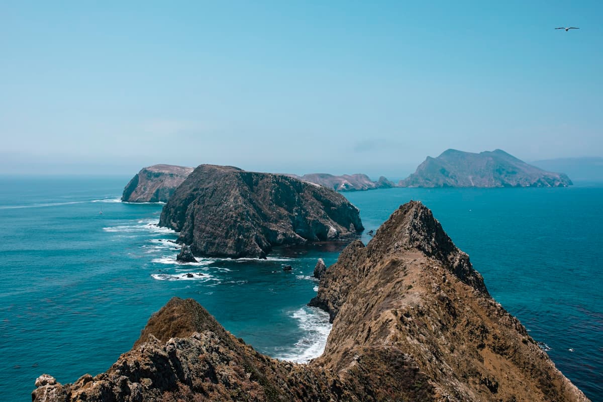 Fly Fishing Channel Islands National Park: Calico Bass, Kelp Forests, and Southern California's Wildest Saltwater