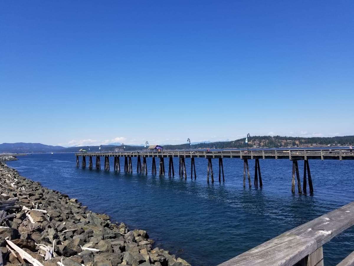Fishing Campbell River, BC: The Salmon Capital of the World and Why It Earns the Name