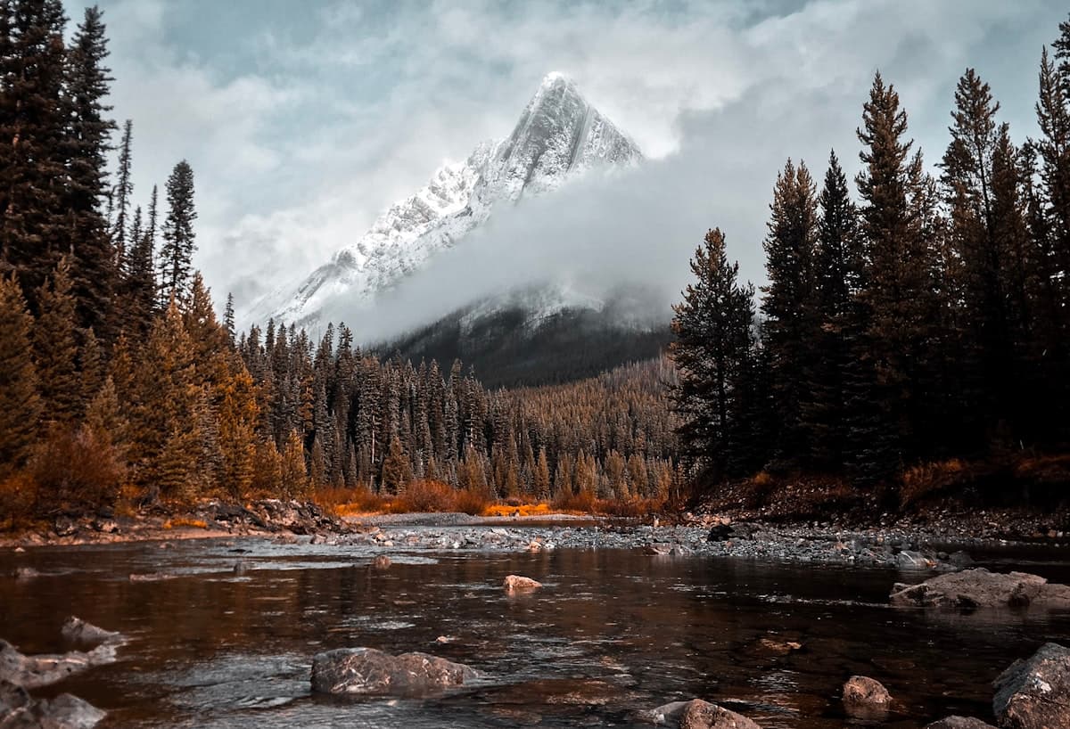 Fishing the Crowsnest River: Alberta's Best-Kept Trout Stream in the Rocky Mountain Foothills