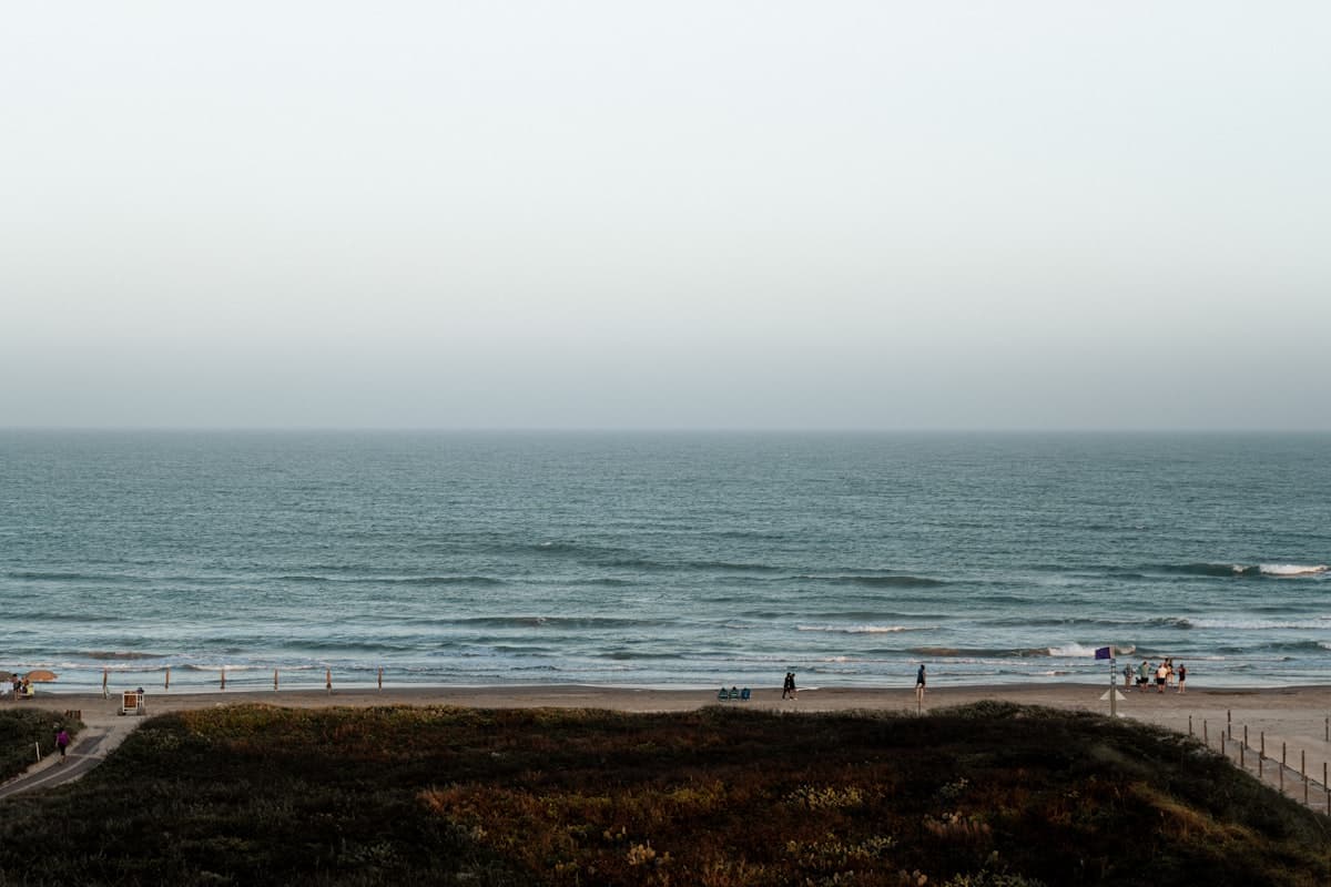 How to Fish South Padre Island: A Beginner's Guide to the Laguna Madre, Jetties, Surf, and Gulf
