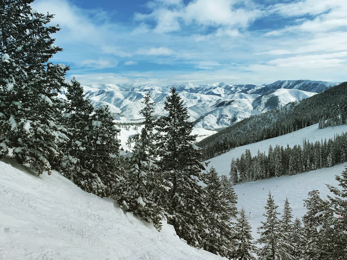 Sun Valley Fishing: Silver Creek, Big Wood River, and the Spring Creek That Changed Fly Fishing