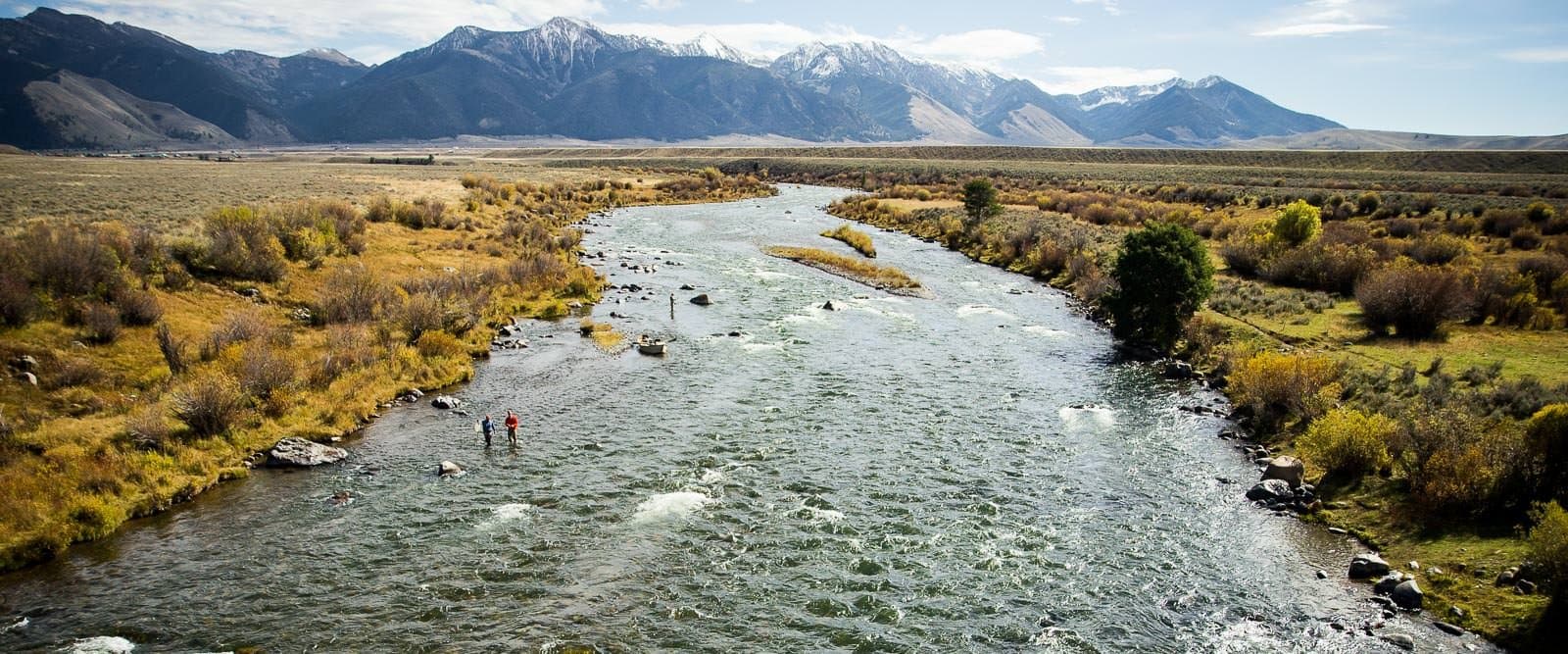 Montana Angler