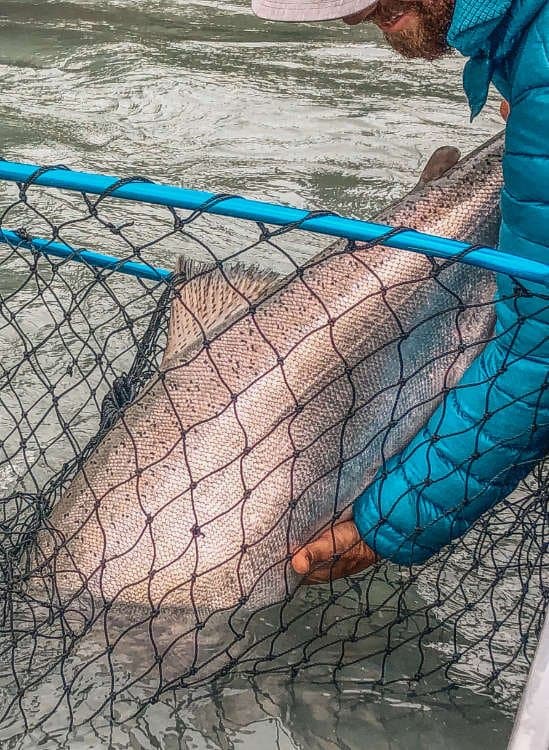 Kenai Drift Anglers